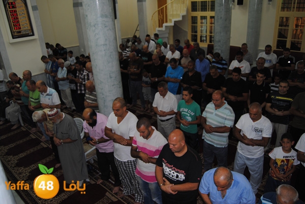 3akila jame3 803 (8).JPG